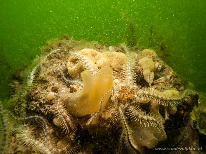Zeelandbrug, 18-4-2014